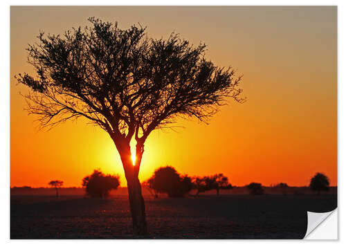 Vinilo para la pared Sunrise in Africa