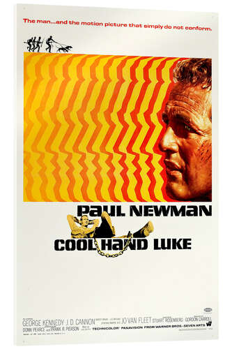 Tableau en verre acrylique Paul Newman - Luke la main froide (anglais)