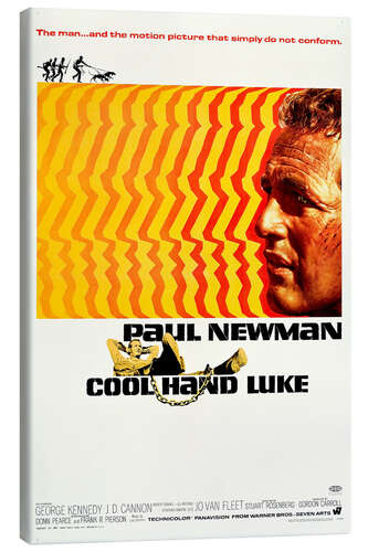 Lienzo Paul Newman - La leyenda del indomable