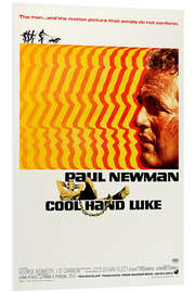 Foam board print Paul Newman - Cool Hand Luke