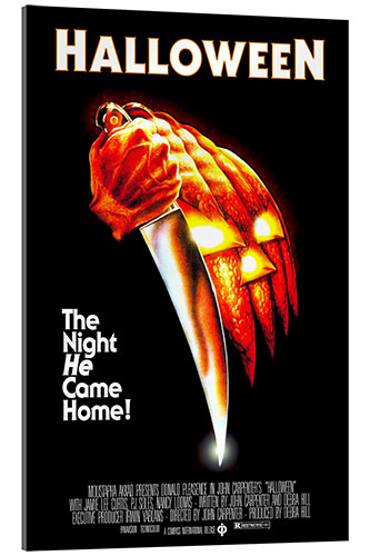 Quadro em acrílico Halloween - The night he came home