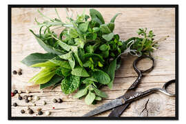 Gerahmter Kunstdruck Küchenkräuter 11