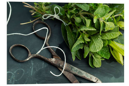 Foam board print Kitchen Herbs