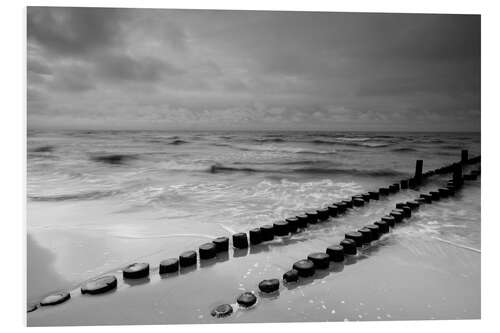 Quadro em PVC Buhnen am Meer monochrome