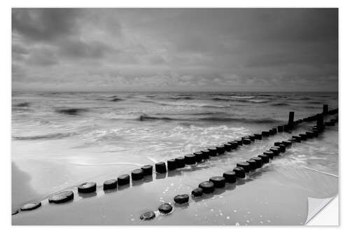 Autocolante decorativo Buhnen am Meer monochrome