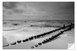 Naklejka na ścianę Buhnen am Meer monochrome