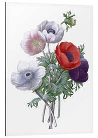 Aluminium print Anemones