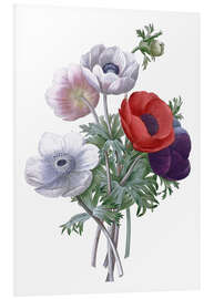 Foam board print Anemones