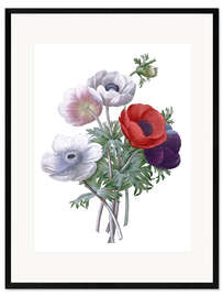Impression artistique encadrée Anémones