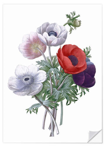 Wandsticker Anemonen