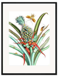 Gerahmter Kunstdruck Ananas I
