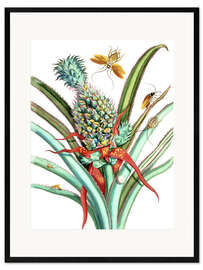 Plakat artystyczny premium w ramie Pineapple I