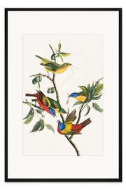 Gerahmter Kunstdruck Ammern