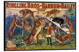 Alubild Circus Poster von 1920