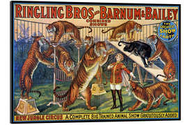 Gallery print Circus poster from 1920