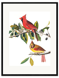 Ingelijste kunstdruk Cardinals