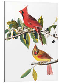 Magnettafel Kardinale