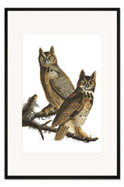 Gerahmter Kunstdruck Virginia-Uhu