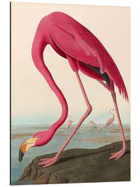 Magnettafel American Flamingo