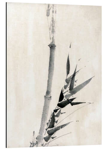 Aluminium print Japan: Bamboo