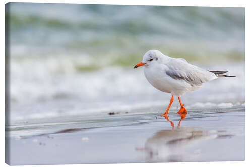 Leinwandbild Strandspaziergang