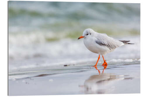 Gallery print Beach walk