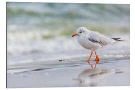 Magnettafel Strandspaziergang