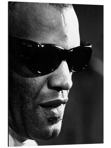 Aluminium print Ray Charles III