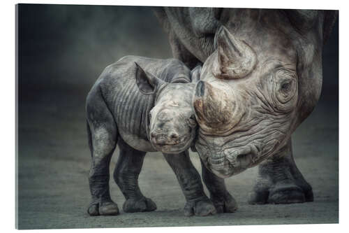 Acrylic print Mother child bond