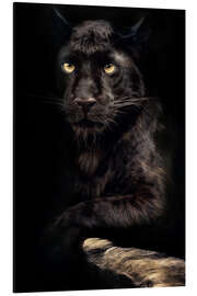 Magnettafel Schatten des Todes