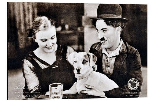 Cuadro de aluminio Charlie Chaplin - A Dog's Life