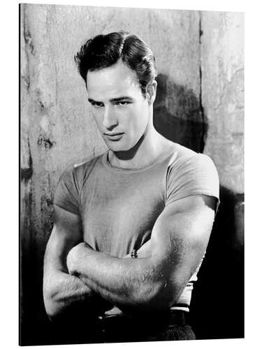 Aluminium print Marlon Brando - A Streetcar Named Desire II