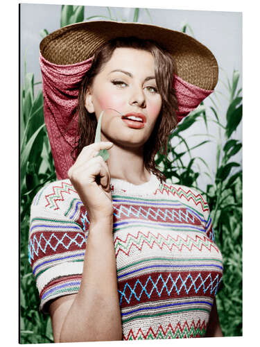 Aluminium print Sophia Loren with Straw Hat