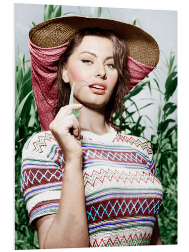 Foam board print Sophia Loren with Straw Hat