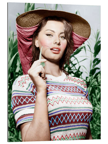 Gallery print Sophia Loren with Straw Hat