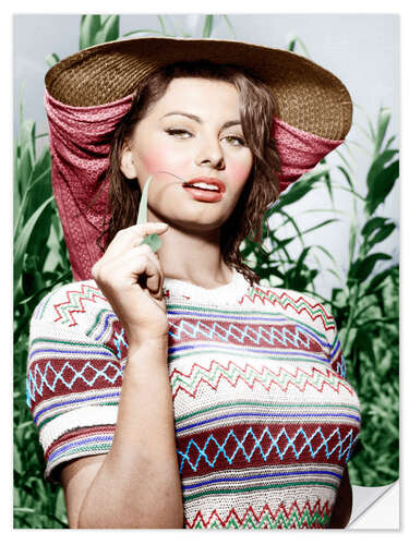 Selvklæbende plakat Sophia Loren with Straw Hat