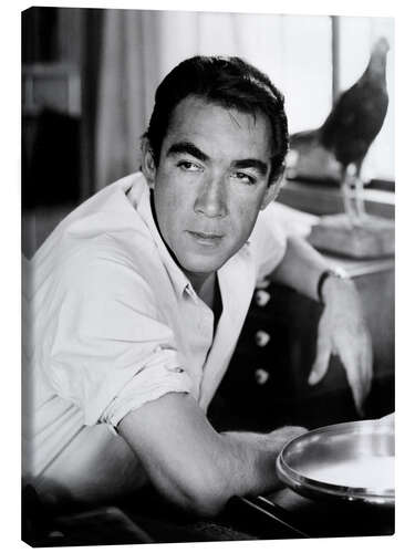 Canvas print ANTHONY QUINN, 3/15/57