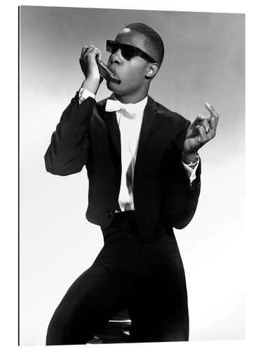 Gallery print Stevie Wonder