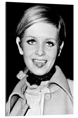 Quadro em plexi-alumínio Twiggy