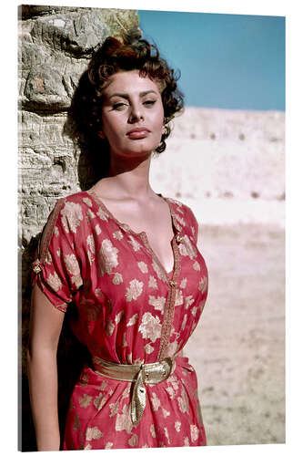 Acrylic print Sophia Loren in Sunlight