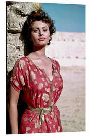 Cuadro de aluminio Sophia Loren in Sunlight