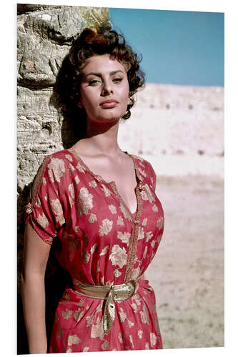 PVC-tavla Sophia Loren in Sunlight