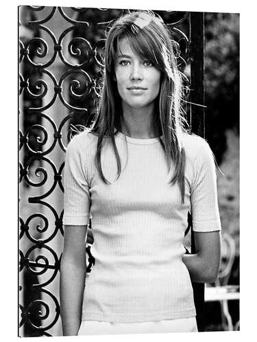 Tableau en plexi-alu Francoise Hardy
