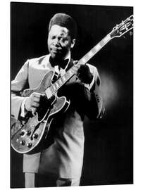 Cuadro de aluminio B.B. King y Lucille