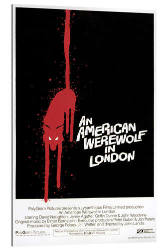 Quadro em plexi-alumínio An American Werewolf in London I