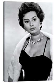 Quadro em tela  Sophia Loren Portrait