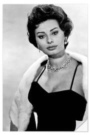 Självhäftande poster Sophia Loren Portrait