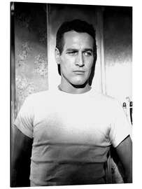 Aluminium print Paul Newman in a T-shirt