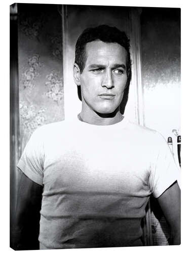 Canvastavla Paul Newman in a T-shirt