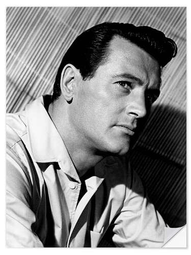 Sticker mural Rock Hudson III